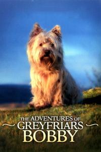 The Adventures Of Greyfriars Bobby