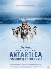 Antartica : Prisonniers du froid / Eight.Below.2006.720p.BrRip.x264-YIFY