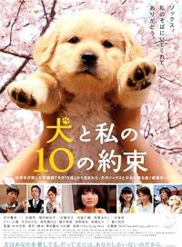 10.Promises.To.My.Dog.2008.JAPANESE.1080p.WEBRip.HEVC-VXT