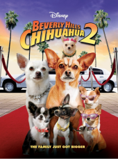 Le Chihuahua de Beverly Hills 2
