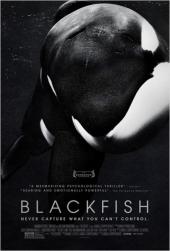 Blackfish / Blackfish.2013.BRrip.XviD.AC3-MiLLENiUM