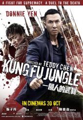 Kung Fu Jungle / Kung.Fu.Jungle.2014.1080p.BluRay.x264.DTS-WiKi