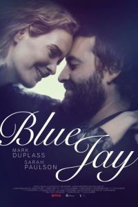Blue.Jay.2016.LIMITED.DVDRip.x264-DoNE
