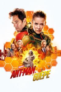 Ant-Man et la Guêpe / Ant-Man.And.The.Wasp.2018.2160p.UHD.BluRay.x265-IAMABLE