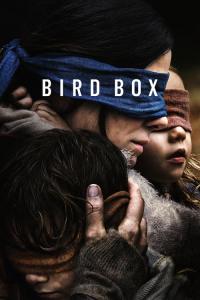 Bird Box / Bird.Box.2018.HDRip.XviD.AC3-EVO