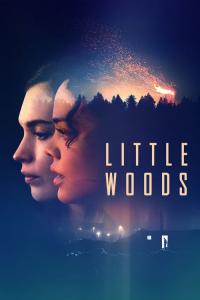 Little Woods / Little.Woods.2018.1080p.AMZN.WEBRip.DDP5.1.x264-NTG