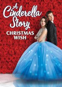 A.Cinderella.Story.Christmas.Wish.2019.1080p.BluRay.x264-ROVERS