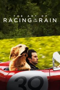 The Art of Racing in the Rain / The.Art.Of.Racing.In.The.Rain.2019.720p.BluRay.x264-YTS