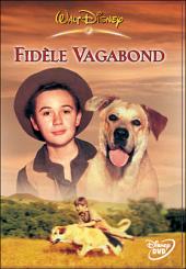 Fidèle vagabond / Old.Yeller.1957.1080p.BluRay.X264-AMIABLE
