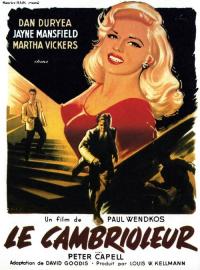 Le Cambrioleur / The.Burglar.1957.1080p.WEBRip.DD2.0.x264-SEV