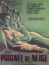 Une poignÃ©e de neige