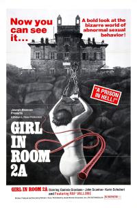 Das Haus der Angst / The Girl in Room 2A