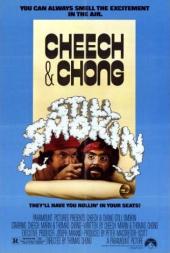 Cheech & Chong : still smokin'