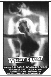 Whats.Love.1987.1080P.BLURAY.H264-UNDERTAKERS