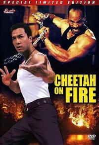 Cheetah on Fire
