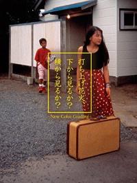 Fireworks, Should We See It from the Side or the Bottom?