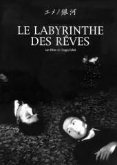 Le Labyrinthe des rêves / Labyrinth.Of.Dreams.1997.DVDRip.x264-SMz