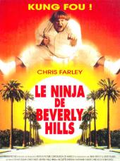 Beverly.Hills.Ninja.1997.iNTERNAL.DVDRip.XviD-iLS