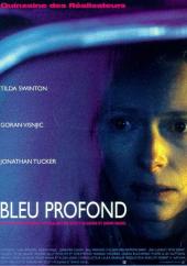 Bleu profond / The.Deep.End.2001.1080p.BluRay.x264-HD4U
