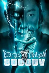 Electric.Dragon.80000V.LIMITED.2001.DVDivX-EPiC