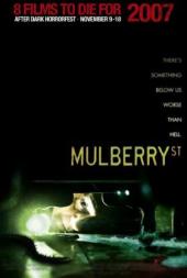 Mulberry Street / Mulberry.Street.2006.DVDRip.XviD-BeStDiVx