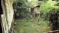 A Letter to Uncle Boonmee / A Letter to Uncle Boonmee
