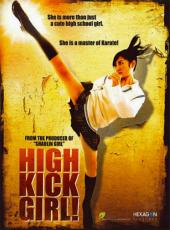 High.Kick.Girl.2009.720p.Bluray.DTS.x264-GCJM