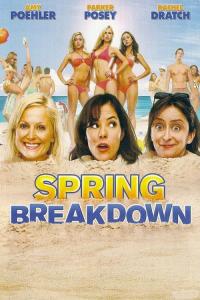 Spring Breakdown / Spring.Breakdown.2009.1080p.BluRay.x264-PUZZLE