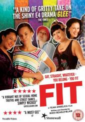 Fit.2010.HAPPY.NEW.YEAR.DVDRip.XviD-TASTE