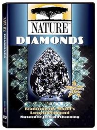 Moment of Impact: Jungle