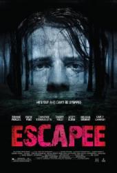 Escapee.2011.DVDRip.XviD-3LT0N