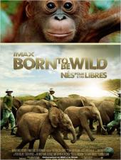 Nés pour être libres / Born.to.Be.Wild.2011.720p.BluRay-YIFY