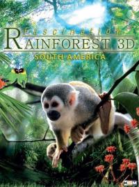 Fascination Rainforest