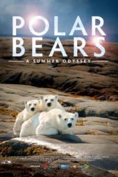 Polar Bears: A Summer Odyssey