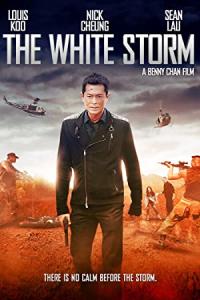 La Guerre des Cartels / The White Storm