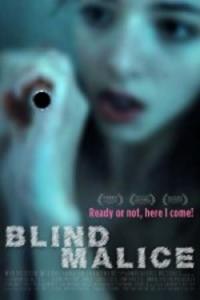 Blind.Malice.2014.720p.WEBRip.x264-iNTENSO