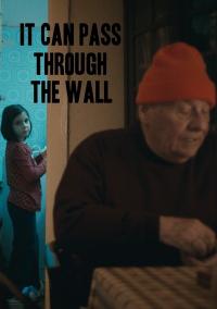 It.Can.Pass.Through.The.Wall.2014.1080p.BluRay.x264-LAP