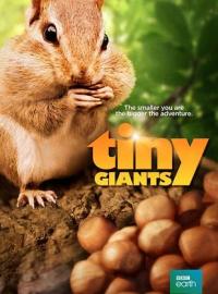 Tiny Giants 3D / Mini h&eacute;ros