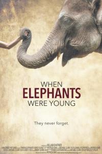 When.Elephants.Were.Young.2016.1080p.BluRay.x264-W4F