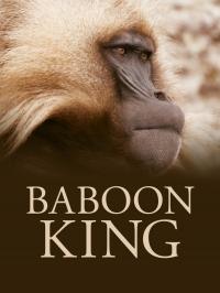Baboon King