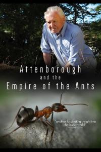 David Attenborough's Ant Mountain