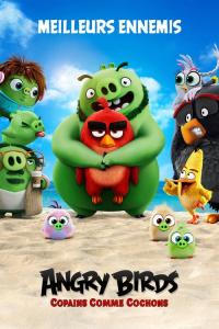 Angry Birds : Copains comme cochons / The.Angry.Birds.Movie.2.2019.BDRip.x264-GECKOS