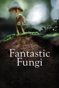Fantastic Fungi / Fantastic.Fungi.2019.1080p.WEBRip.AAC2.0.x264-NOGRP