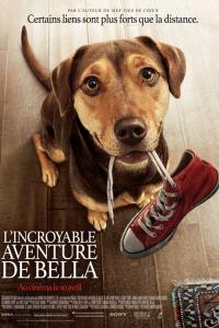 L'Incroyable Aventure de Bella / A.Dogs.Way.Home.2019.720p.BluRay.H264.AAC-RARBG