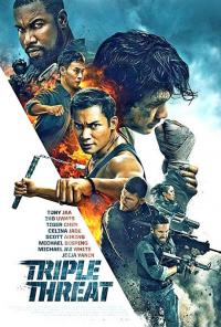 Triple Threat / Triple.Threat.2019.1080p.BluRay.x264-ALLiANCE