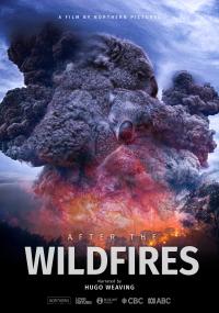 After the Wildfires