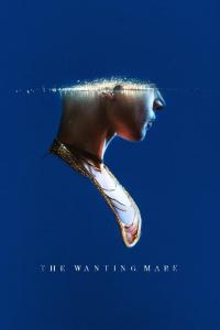 The.Wanting.Mare.2020.720p.AMZN.WEB-DL.DDP5.1.H264-NTG
