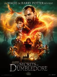 Les Animaux fantastiques : Les Secrets de Dumbledore / Fantastic.Beasts.The.Secrets.Of.Dumbledore.2022.1080p.Bluray.Atmos.TrueHD.7.1.x264-EVO