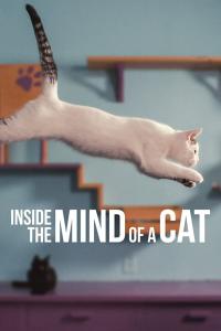 Notre Langue aux Chats /  Inside The Mind Of A Cat