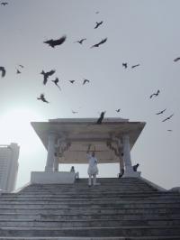 Tout ce que nous respirons